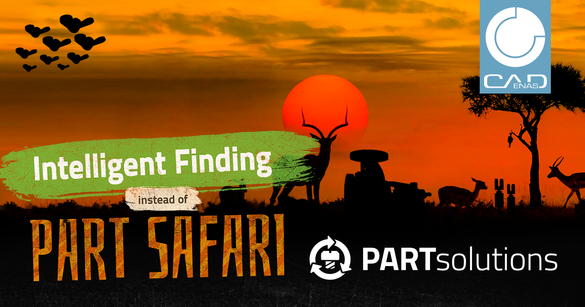part-safari