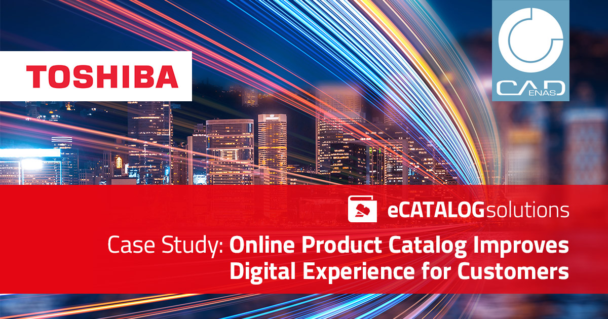 Toshiba Case Study